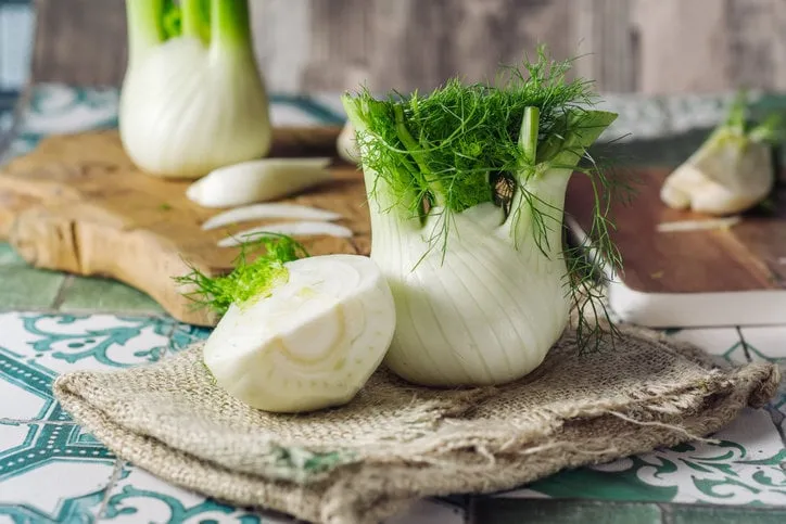 genuine and fresh raw fennel on a rustic background