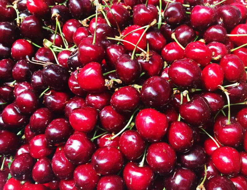 red shiny cherries background close up berry texture