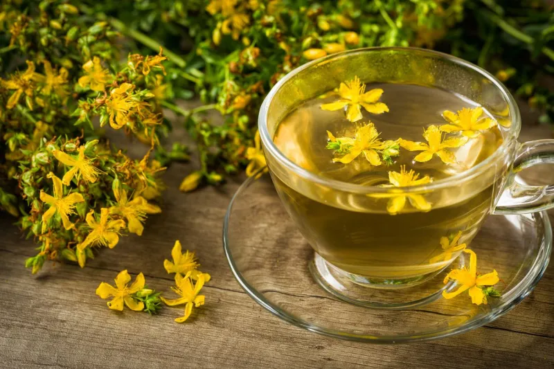 herbal tea made from st john's wort