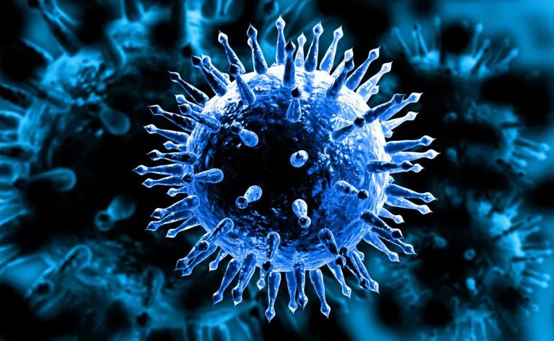 influenza virus