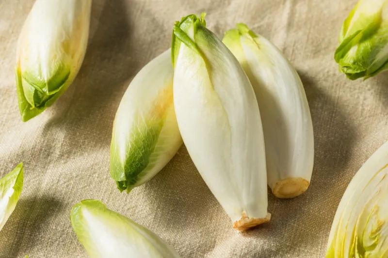 raw organic belgian endive ready to use