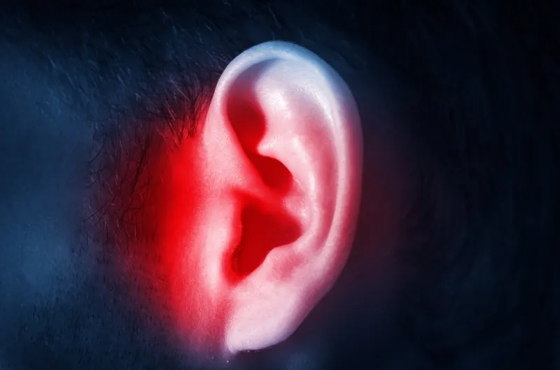 human male ear on a dark background isolated