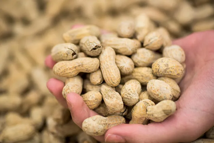 tenant des cacahuètes