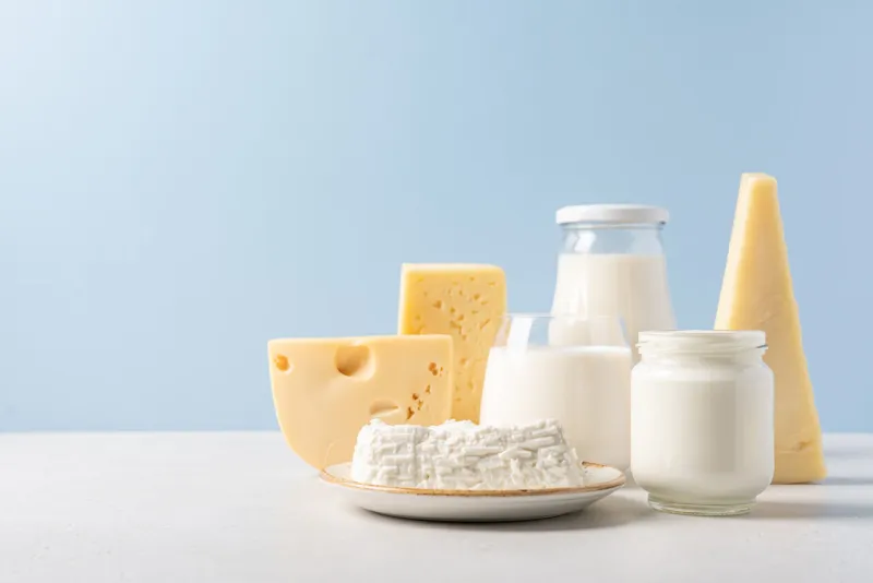 variety of dairy products on blue background bottle of milk, cheese, yogurt or sour cream, cottage cheese farm dairy products concept