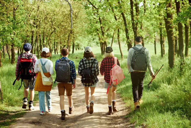 active, sportive young people, friends going hiking with backpacks in forest on warm spring day, walking on path, enjoying landscapes concept of active lifestyle, nature, sport and hobby, friendship