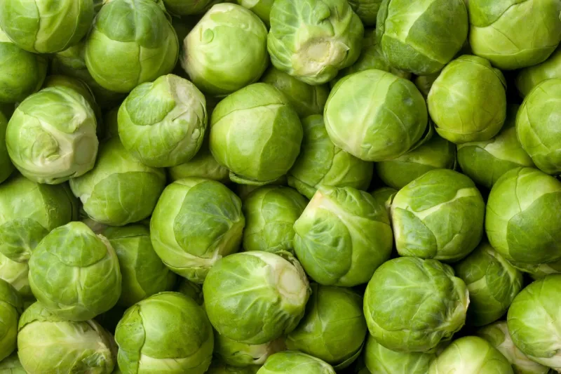 fresh brussel sprouts full frame