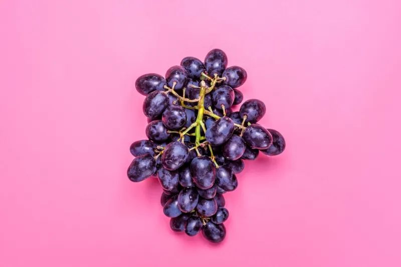 natural organic black juicy grapes on a trend pink millennial background top view flat lay