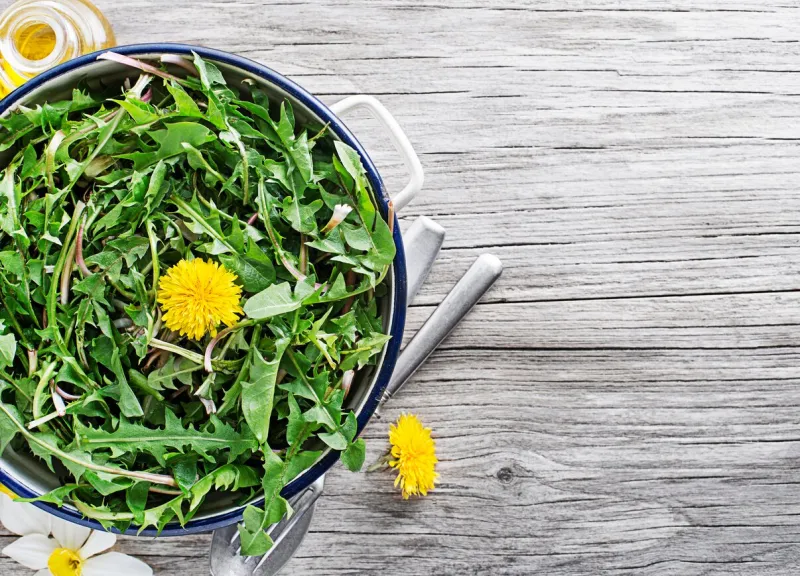 fresh dandelion salad with dressing close up healthy spring food concept