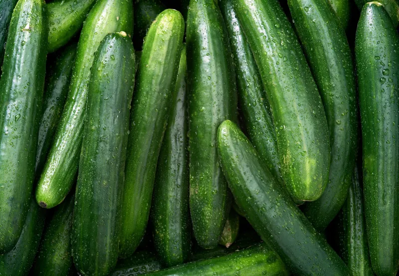 cucumber raw fruit and vegetable backgrounds overhead perspective, part of a set collection of healthy organic fresh produce
