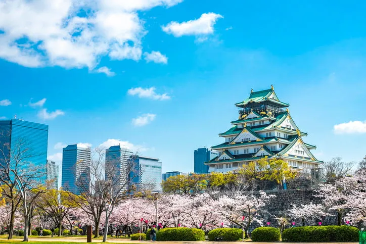 osaka,japan - april 8, 2019  spring day with cherry blossoms and osaka castle in osaka, japan the castle is one of japan's most famous landmarks