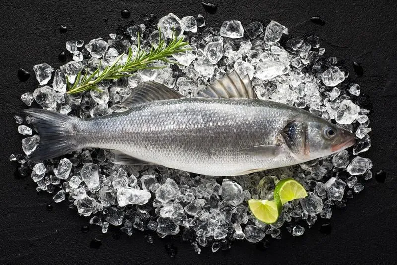 poisson frais sur la glace sur une vue de dessus de table en pierre noire