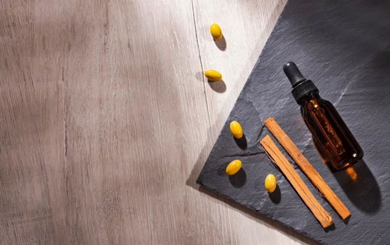 uncaria tomentosa - medicinal plant of the peruvian jungle