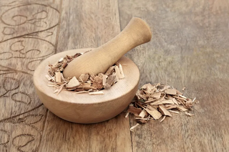 poplar bark herb in a mortar with pestle used in herbal medicine to treat headaches, relieve pain, wounds, acne, sore joints, rheumatism, on rustic wood background populus alba