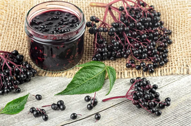 fresh ripe black elderberries, elderberry syrup and leaves of elderberry on rustic wooden board alternative medicine and lifestyle