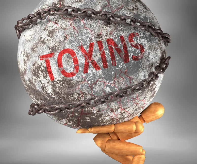 toxins and hardship in life - pictured by word toxins as a heavy weight on shoulders to symbolize toxins as a burden, 3d illustration