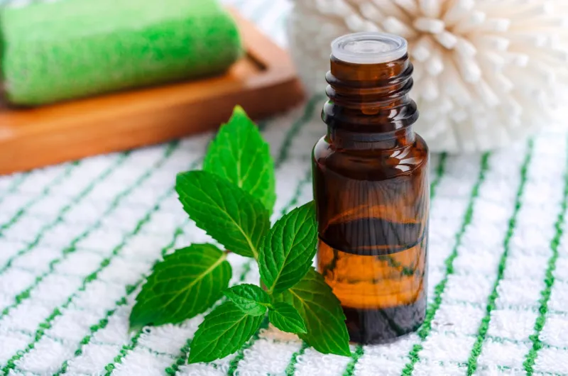 small bottle of essential mint oil