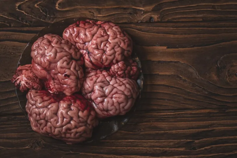 pink brain before cooking on a plate of dark glass stands on a wooden table raw fresh brain of a mammalian animal, a cow raw meat gut copy space