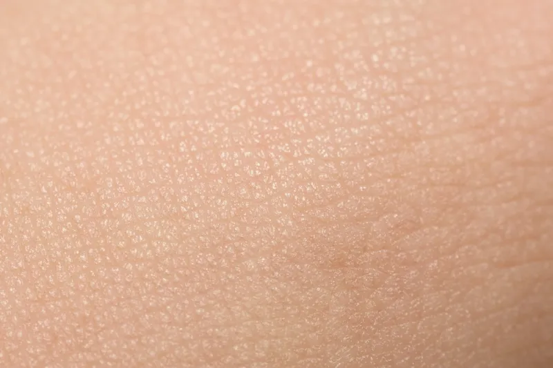 an extreme close-up of tanned skin on male hand