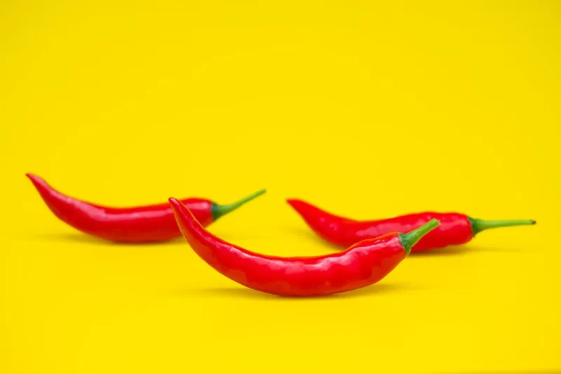 close up red hot chili spur pepper at yellow background