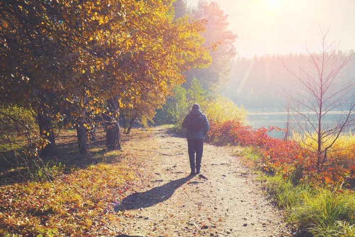 a man walks along a path in a park near a lake in the early morning in the autumn
