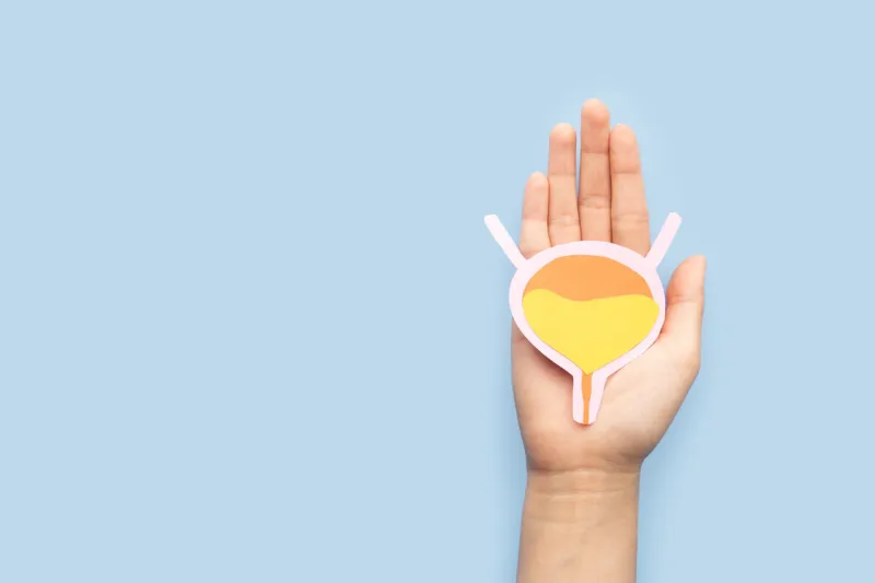 woman hands holding bladder organ shape made from paper on light blue background awareness of bladder cancer, urinary tract infection, urinary incontinence and overactive bladder