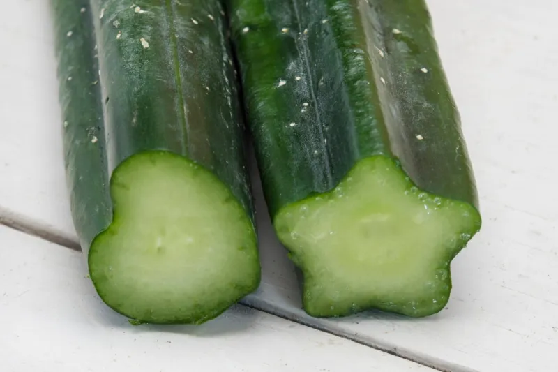 zucchini with a star shape and a heart shape