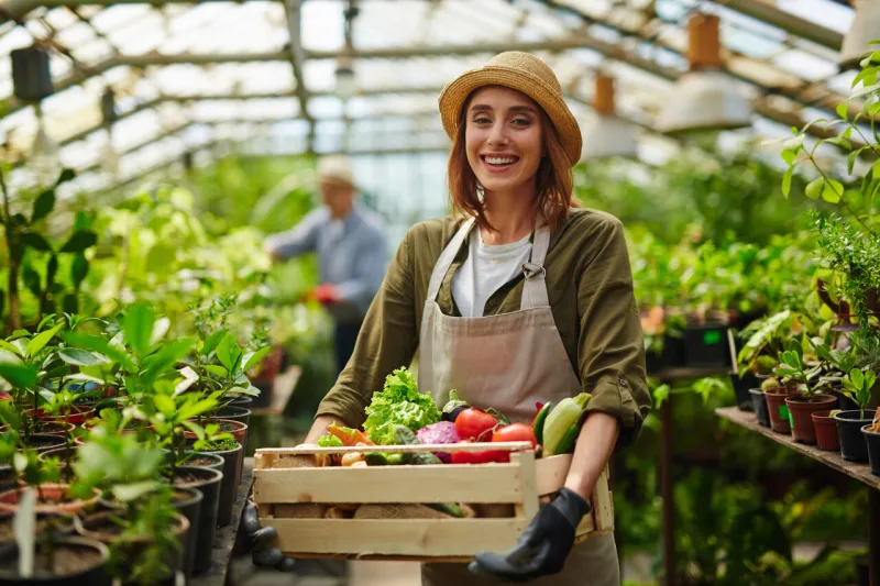 successful gardener with ripe vegetables