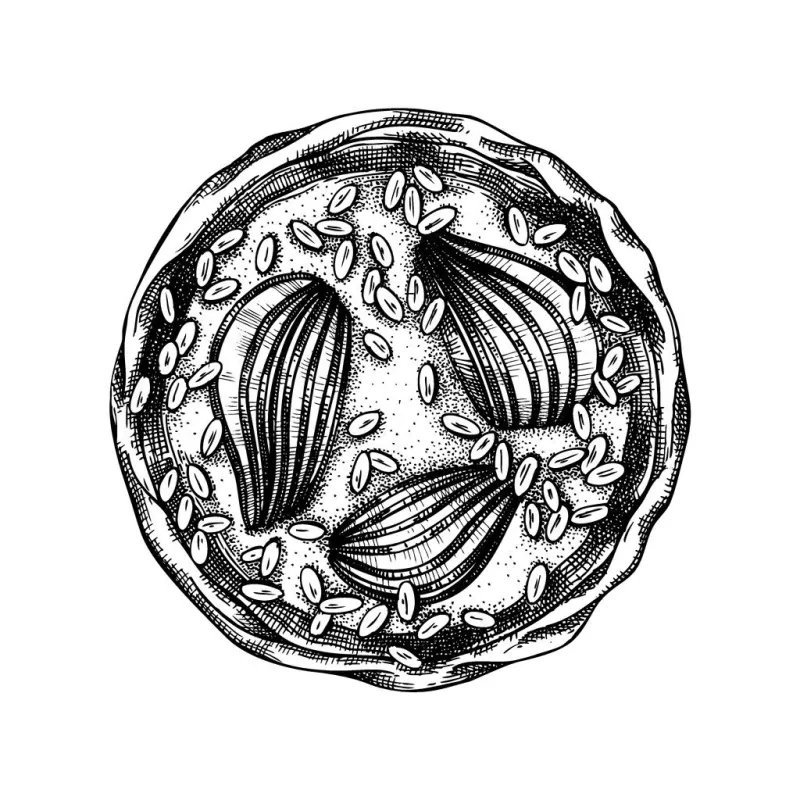 pear and almond tart sketch vector illustration of ink hand drawn fruits nuts and berries baking homemade pear cake drawing sweet bakery top view food