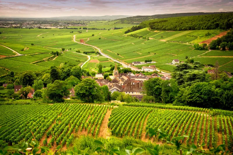 burgundy - corton  scenic road that crosses the wine region and introduces us to the main producers and their vineyards, near corton france