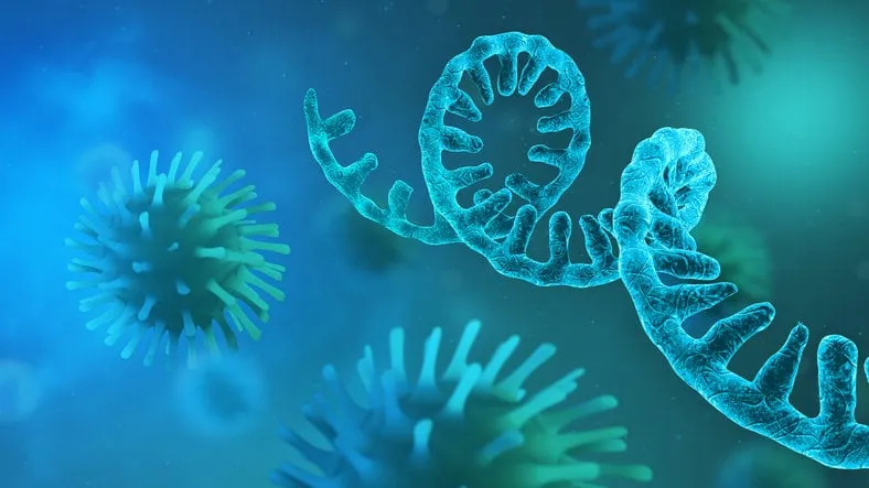 rna coronavirus - microscopic view of infectious sars-cov-2 virus cells