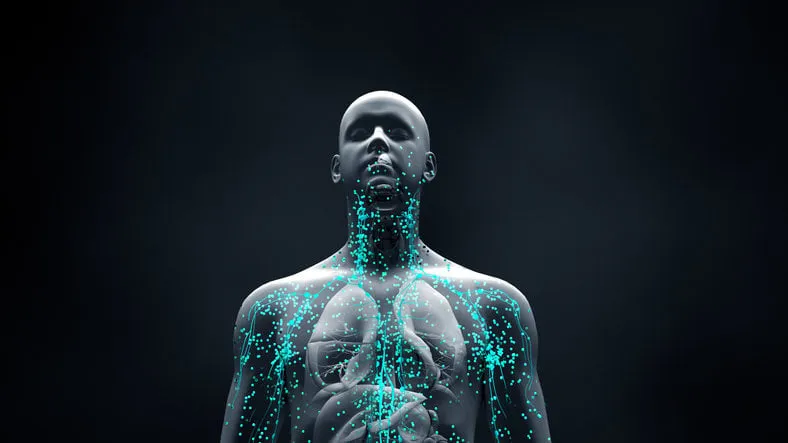 immune system defends the body against infections and diseases