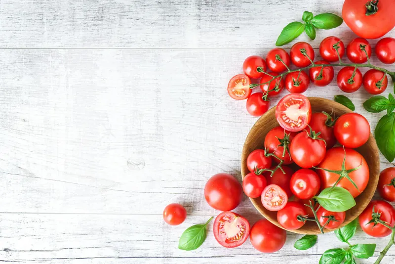 fresh tomatoes and basil on white old table, top view beautiful red tomato vegetables with copy space