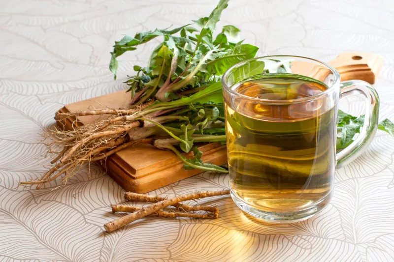 dandelion herbal tea in mug, dandelion leaves and roots on cutting board medicinal plant dandelion (taraxacum officinale) is used in herbal medicine and healthy nutrition