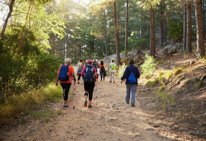 hiking, nature and fitness with a group of people walking in the woods or forest for health and exercise trees, health and active with friends taking a walk on a dirt road or footpath during summer