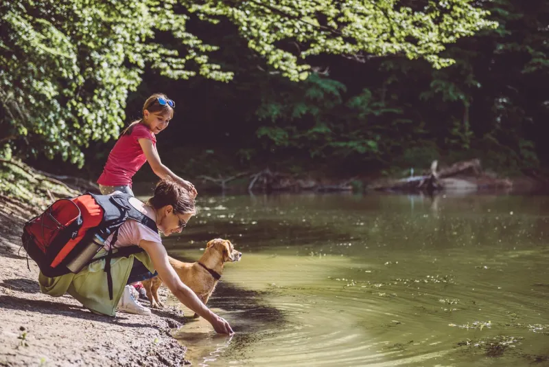 mother and daughter with dog resting by the lake