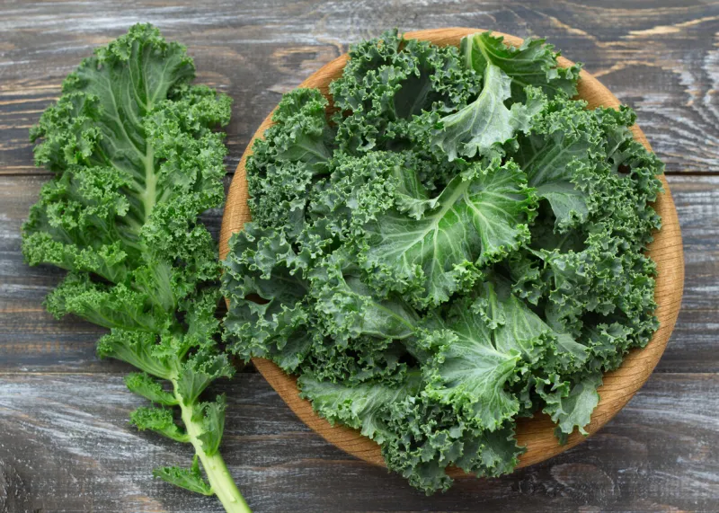 fresh green curly kale leaves on a wooden table selective focus rustic style healthy vegetarian food