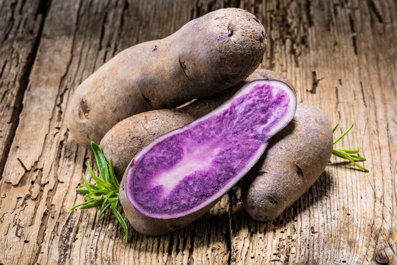 vitolette noir or purple potato on a wooden background