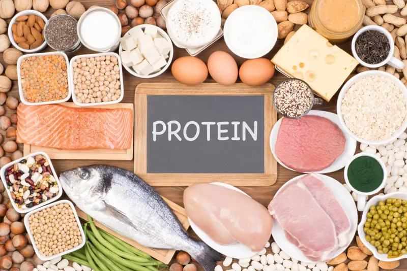 protein food sources
