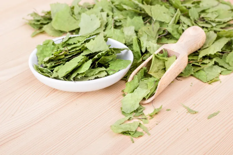 spoon and bowl with dried birch leaves on a wooden ground