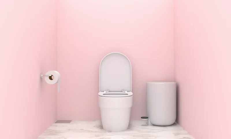 water closet and bin in pink toilet interior, 3d rendering