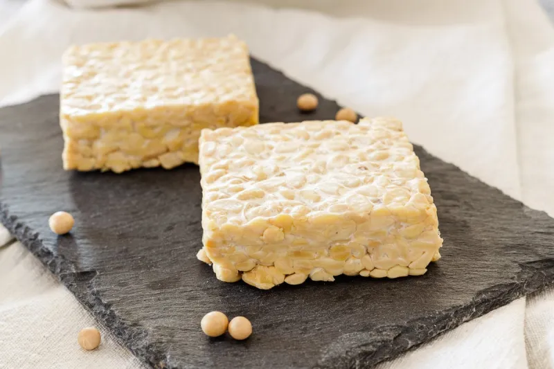 tempeh natural on a black slate plate tempeh is a vegetable pro