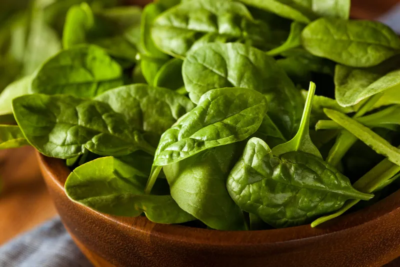 raw green organic baby spinach in a bowl