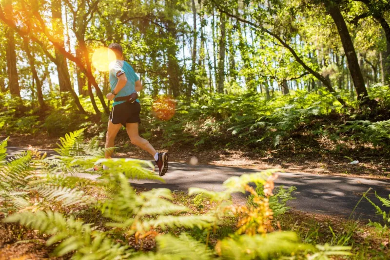 man running in the beautiful forest of landes