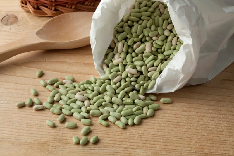 paper bag with french flageolets beans