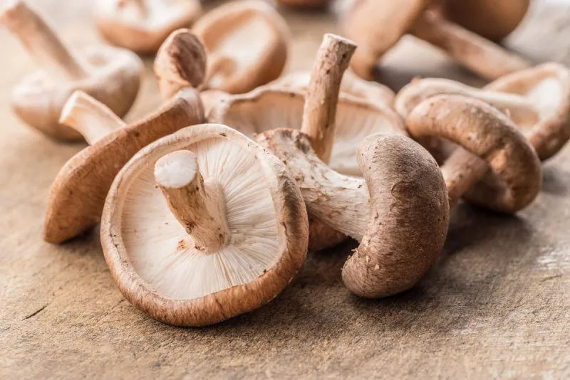 shiitake mushrooms on the wooden background