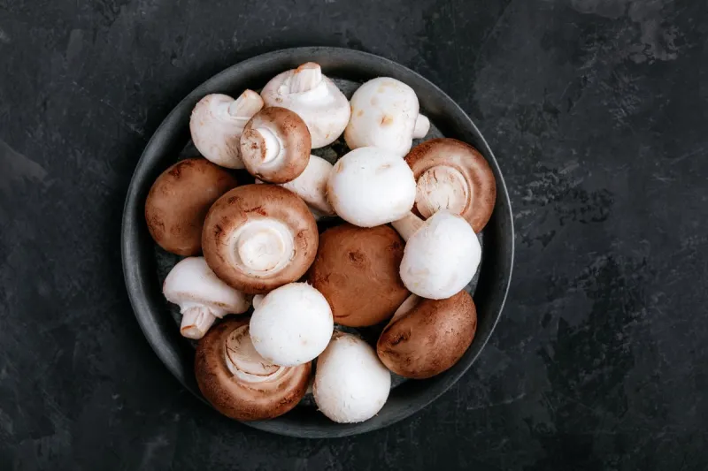 fresh organic brown and white champignon mushrooms in bowl on dark stone background top view, copy space