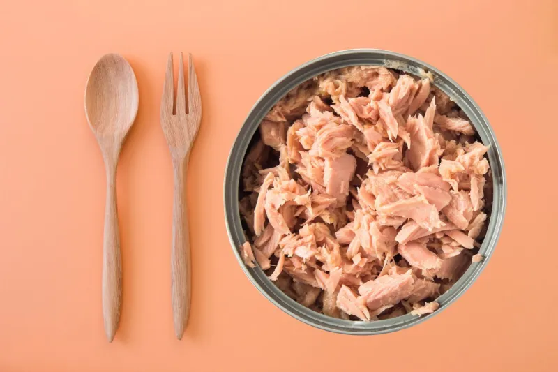 canned tuna isolated on orange background   canned soy free albacore white meat tuna packed in water