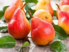 poires fraîches sur la table en bois