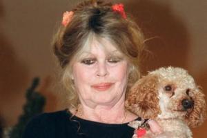 Brigitte bardot deuil animal