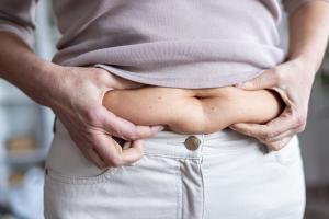 graisse abdominale